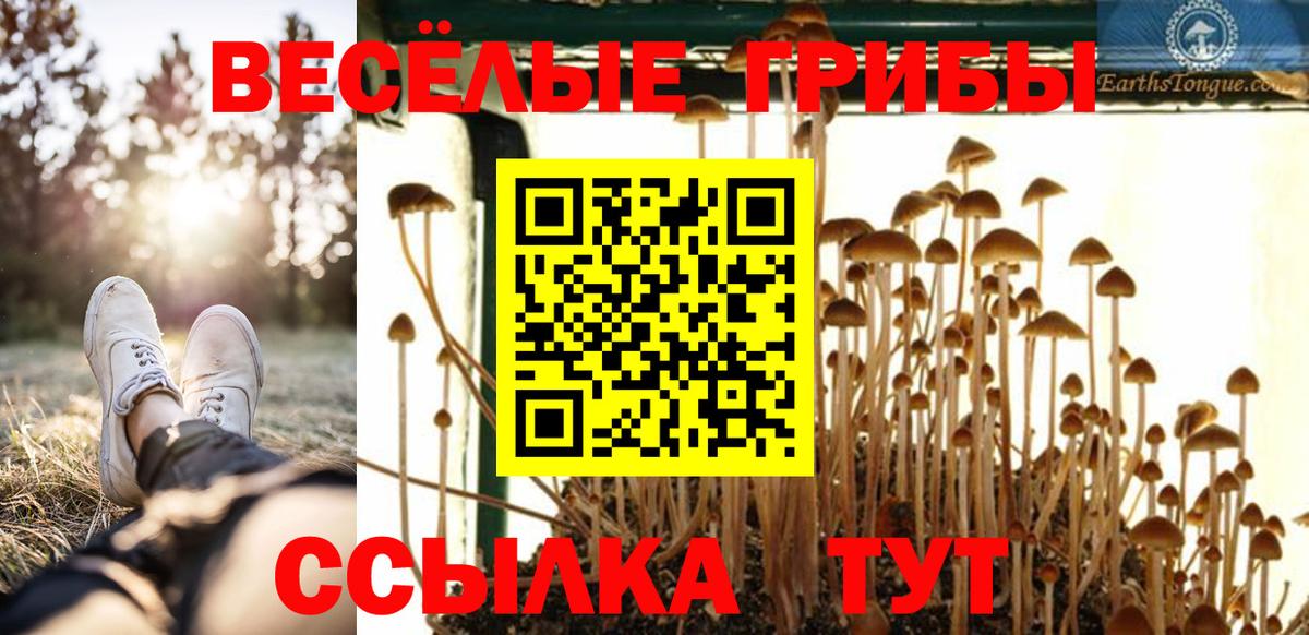 Псилоцибиновые грибы GOLDEN TEACHER  Псилоцибиновые грибы GOLDEN TEACHER  Вход с VPN  Чебоксары 